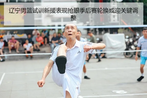辽宁男篮试训新援表现抢眼季后赛轮换或迎关键调整