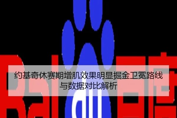 约基奇休赛期增肌效果明显掘金卫冕路线与数据对比解析